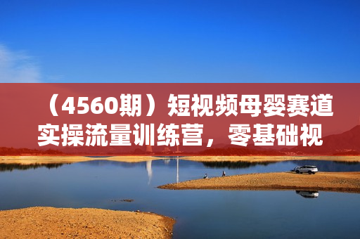 （4560期）短视频母婴赛道实操流量训练营，零基础视频带货，好物分享，爆量秘籍