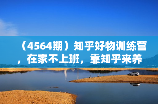（4564期）知乎好物训练营，在家不上班，靠知乎来养活自己