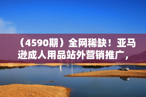 （4590期）全网稀缺！亚马逊成人用品站外营销推广，​教你引爆站外流量，开启爆单模式