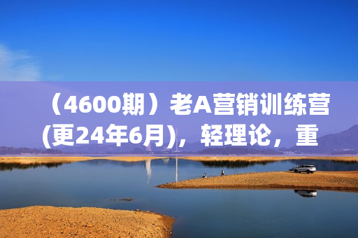 （4600期）老A营销训练营(更24年6月)，轻理论，重实战，轻概念，重本质