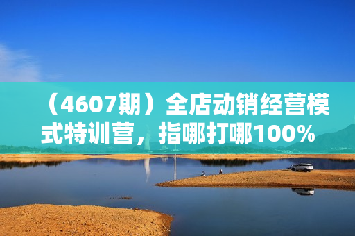 （4607期）全店动销经营模式特训营，指哪打哪100%精准拉新保姆式起店实操课程