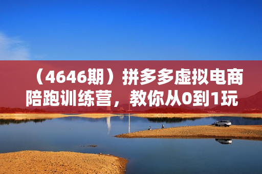 （4646期）拼多多虚拟电商陪跑训练营，教你从0到1玩转拼多多虚拟电商，简单易上手