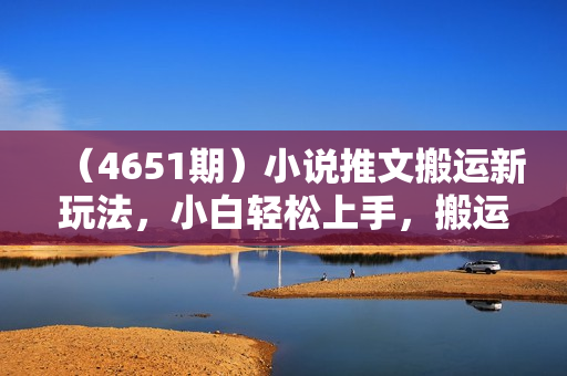 （4651期）小说推文搬运新玩法，小白轻松上手，搬运发视频让搞钱更简单