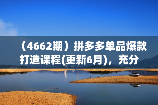 （4662期）拼多多单品爆款打造课程(更新6月)，充分应用你的流量，增长实战培训