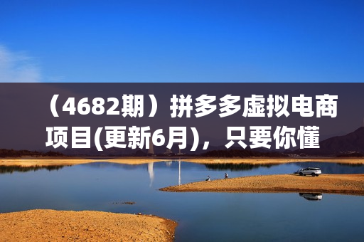 （4682期）拼多多虚拟电商项目(更新6月)，只要你懂电脑的基础操作，有手机和电脑，就可以操作