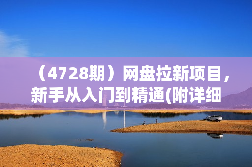 （4728期）网盘拉新项目，新手从入门到精通(附详细教程)，门槛低，好落地，变现快