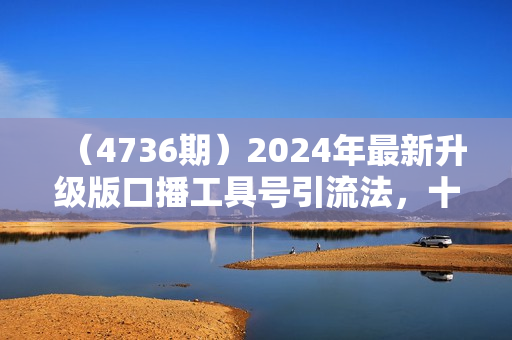 （4736期）2024年最新升级版口播工具号引流法，十分钟一条爆款作品，日引流500+高质量精准创业粉