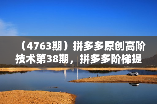 （4763期）拼多多原创高阶技术第38期，拼多多阶梯提价破量法