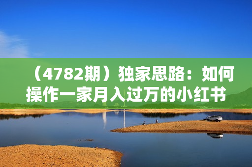 （4782期）独家思路：如何操作一家月入过万的小红书虚拟店铺
