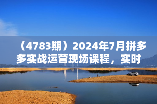 （4783期）2024年7月拼多多实战运营现场课程，实时玩法，爆款打造，选品、规则解析