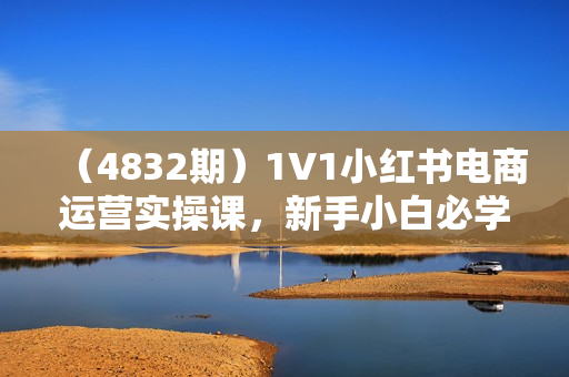 （4832期）1V1小红书电商运营实操课，新手小白必学课