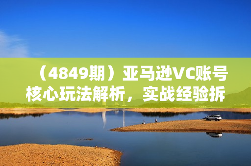 （4849期）亚马逊VC账号核心玩法解析，实战经验拆解产品模块运营技巧，提升店铺GMV，有效提升运营利润