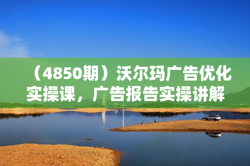 （4850期）沃尔玛广告优化实操课，广告报告实操讲解，广告如何提高转化和ROAS等