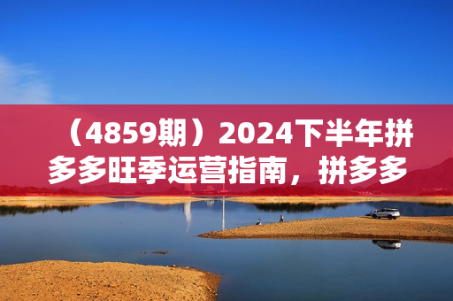 （4859期）2024下半年拼多多旺季运营指南，拼多多电商教程