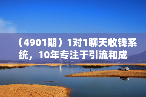 （4901期）1对1聊天收钱系统，10年专注于引流和成交，全网130万+粉丝
