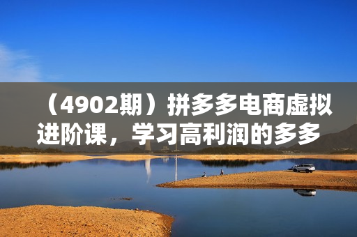（4902期）拼多多电商虚拟进阶课，学习高利润的多多虚拟玩法，利用电商思维进行选品+运营