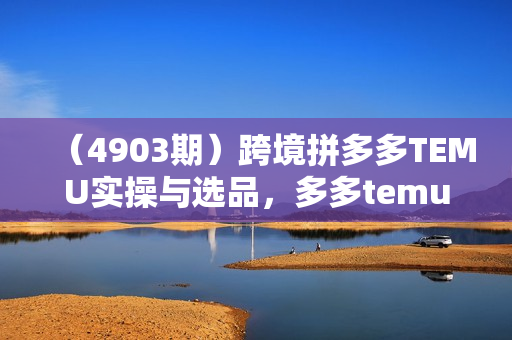 （4903期）跨境拼多多TEMU实操与选品，多多temu跨境选品运营实操