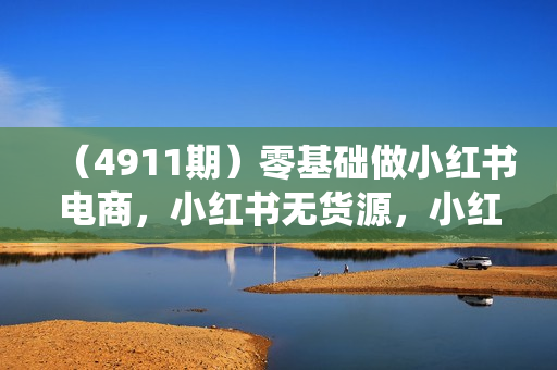 （4911期）零基础做小红书电商，小红书无货源，小红书系统运营