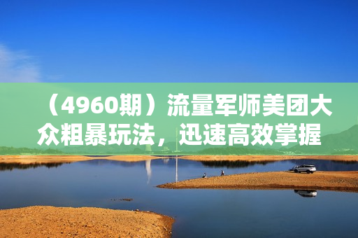 （4960期）流量军师美团大众粗暴玩法，迅速高效掌握美大秘诀