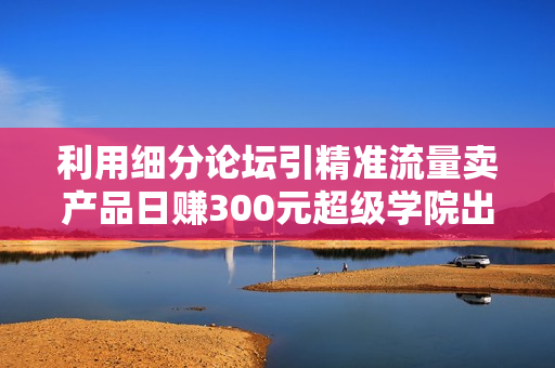利用细分论坛引精准流量卖产品日赚300元超级学院出品