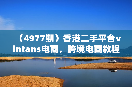 （4977期）香港二手平台vintans电商，跨境电商教程