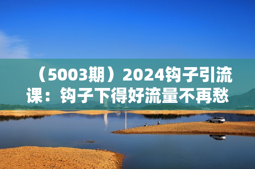 （5003期）2024钩子引流课：钩子下得好流量不再愁，定位篇/标签篇/破播放篇/24
