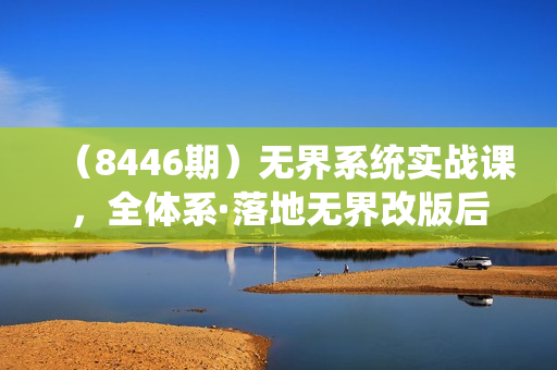 （8446期）无界系统实战课，全体系·落地无界改版后选择、出价、高投产做付费引流