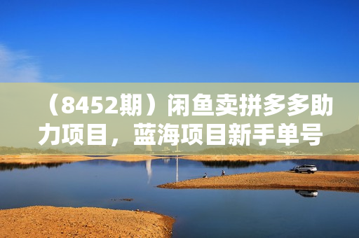 （8452期）闲鱼卖拼多多助力项目，蓝海项目新手单号也能300+