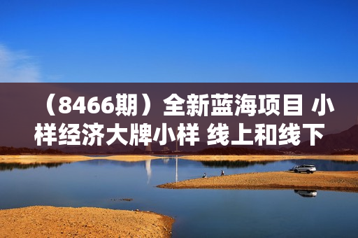 （8466期）全新蓝海项目 小样经济大牌小样 线上和线下都可变现 月入2W+