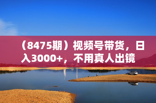 （8475期）视频号带货，日入3000+，不用真人出镜