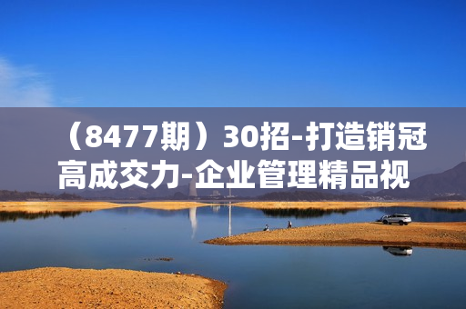 （8477期）30招-打造销冠高成交力-企业管理精品视频课（41节课）