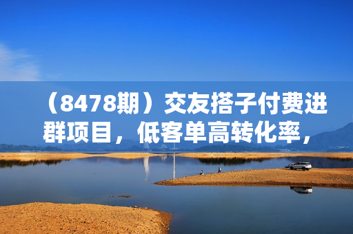 （8478期）交友搭子付费进群项目，低客单高转化率，长久稳定，单号日入200+