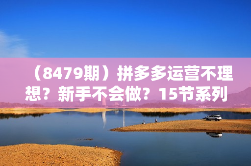 （8479期）拼多多运营不理想？新手不会做？15节系列课+2节直播课，直接掌握