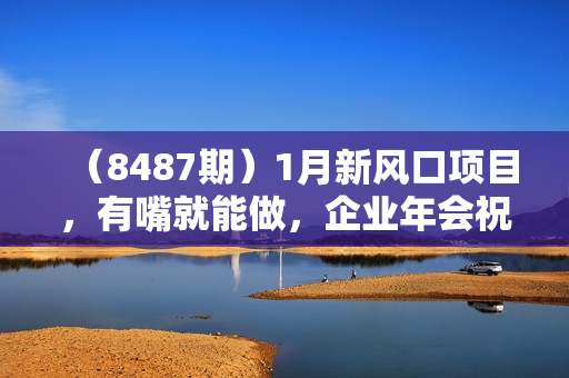 （8487期）1月新风口项目，有嘴就能做，企业年会祝福视频定制，单日轻松收益20000+