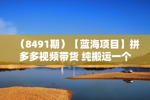 （8491期）【蓝海项目】拼多多视频带货 纯搬运一个月搞了5w佣金，小白也能操作 送工具