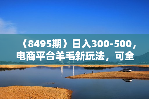 （8495期）日入300-500，电商平台羊毛新玩法，可全天操作，简单上手