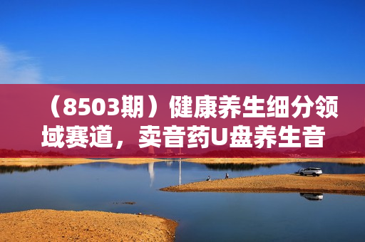 （8503期）健康养生细分领域赛道，卖音药U盘养生音乐，轻松月赚一万+，可批量操作