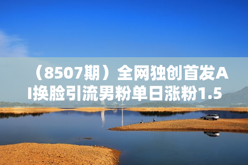 （8507期）全网独创首发AI换脸引流男粉单日涨粉1.5W+变现3000+小白也能上手快速拿结果
