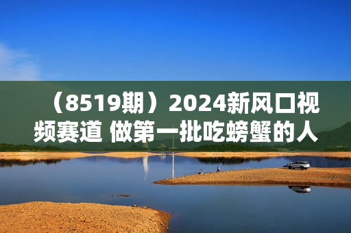（8519期）2024新风口视频赛道 做第一批吃螃蟹的人 10分钟一条原创视频 小白无脑操作1