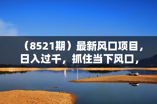 （8521期）最新风口项目，日入过千，抓住当下风口，享受第一波红利，实现逆风翻盘