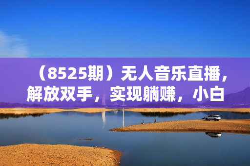 （8525期）无人音乐直播，解放双手，实现躺赚，小白轻松实操，日入1000+，月入3w+
