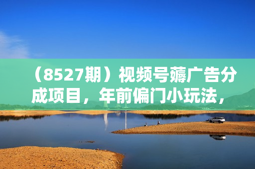 （8527期）视频号薅广告分成项目，年前偏门小玩法，次日出结果，单号单天500+元【