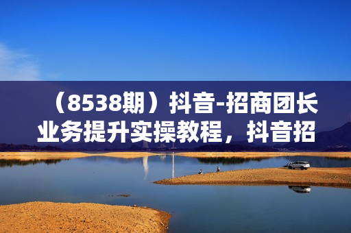 （8538期）抖音-招商团长业务提升实操教程，抖音招商团长如何实现躺赚（38节）