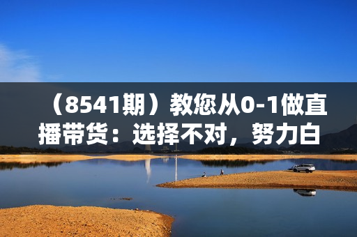 （8541期）教您从0-1做直播带货：选择不对，努力白费，5小时课程搞定那点事，解决