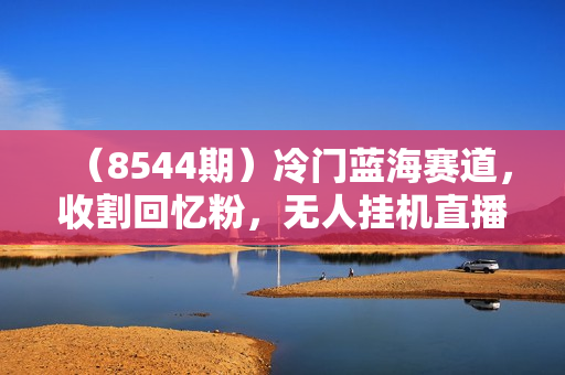 （8544期）冷门蓝海赛道，收割回忆粉，无人挂机直播，单场收入轻松2000-5w+