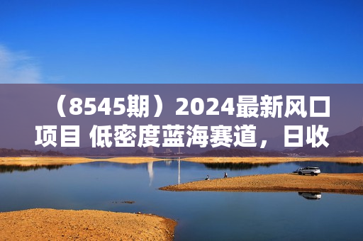 （8545期）2024最新风口项目 低密度蓝海赛道，日收益5000+周收益4w+ 无脑操作，保