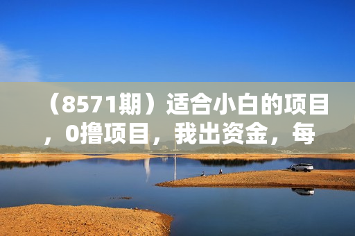 （8571期）适合小白的项目，0撸项目，我出资金，每天15秒，一单利润600