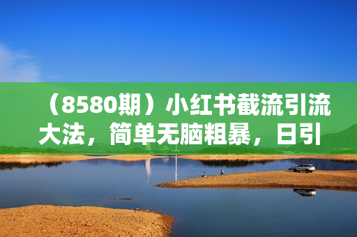 （8580期）小红书截流引流大法，简单无脑粗暴，日引20-30个高质量创业粉（送自动加