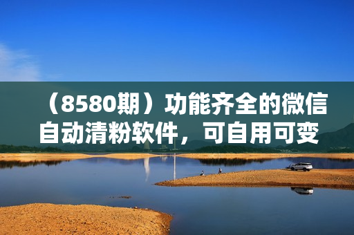 （8580期）功能齐全的微信自动清粉软件，可自用可变现，一天400+，0成本免费分享