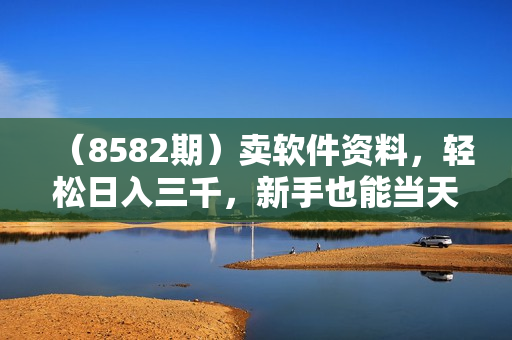 （8582期）卖软件资料，轻松日入三千，新手也能当天见收益，多种变现方式，（附300